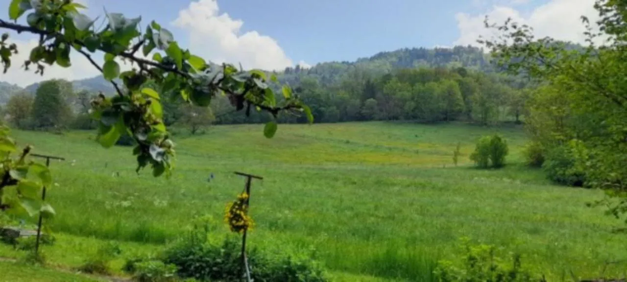 Appartement Entre Lacs Et Montagnes Habere-Lullin