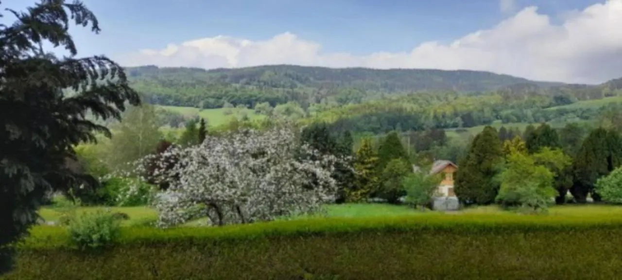 Apartment Appartement Entre Lacs Et Montagnes Habere-Lullin
